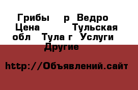 Грибы 500р. Ведро › Цена ­ 500 - Тульская обл., Тула г. Услуги » Другие   